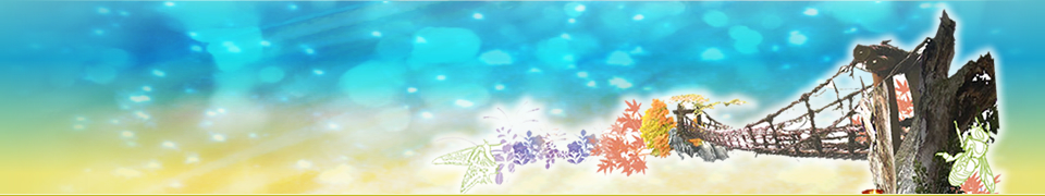 お知らせ・更新履歴