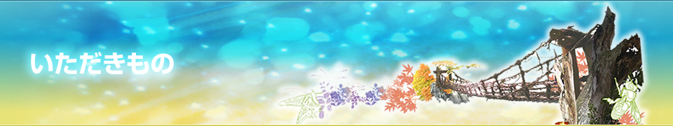 いただきもの