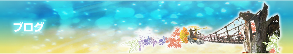 ブログ